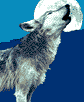 Blue Mountain Arts Wolf Logo-6k
